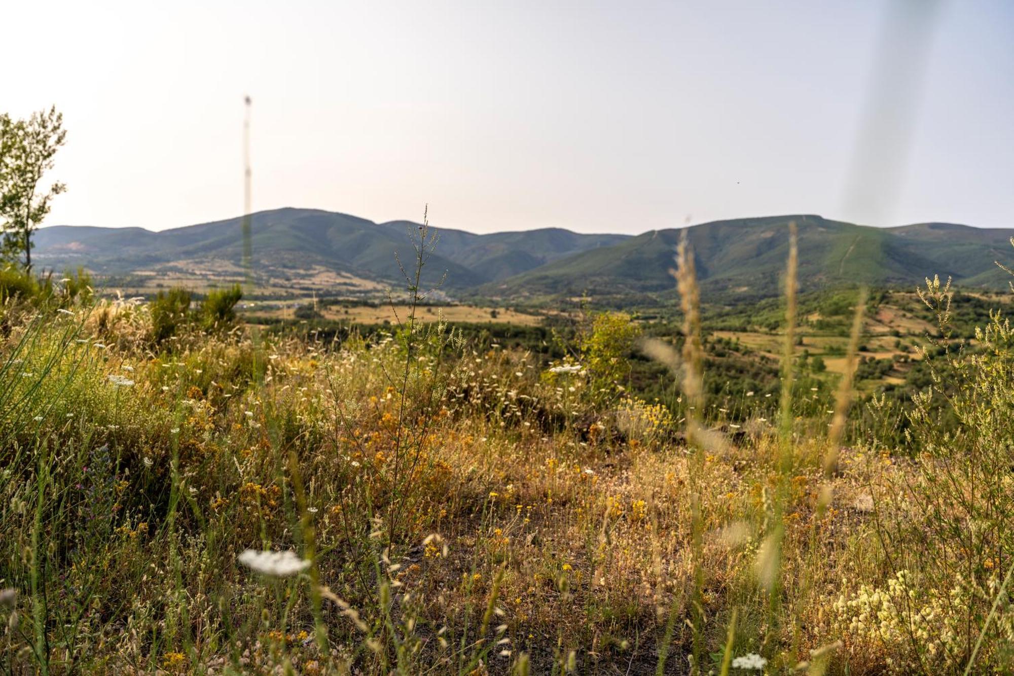 Casa De Turismo Rural Sardom3 Bembibre  Ngoại thất bức ảnh